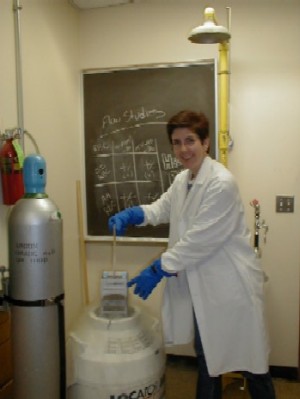 Eileen freezes cells in her dear nitrogen tank