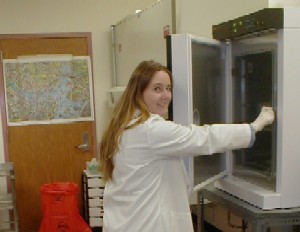 Laura checking if her cells are still alive in the incubator